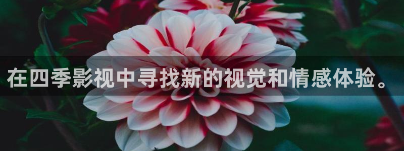九七年的電影