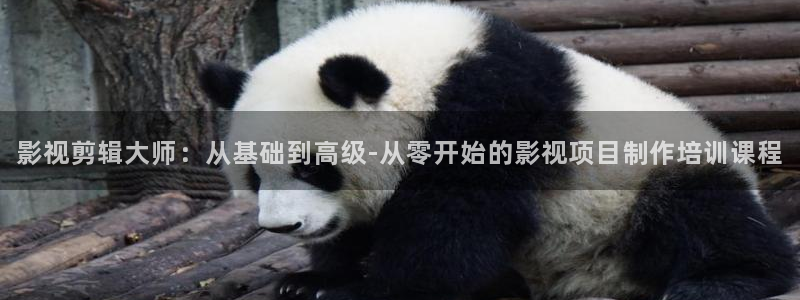 九七電影院手機版在線觀看
